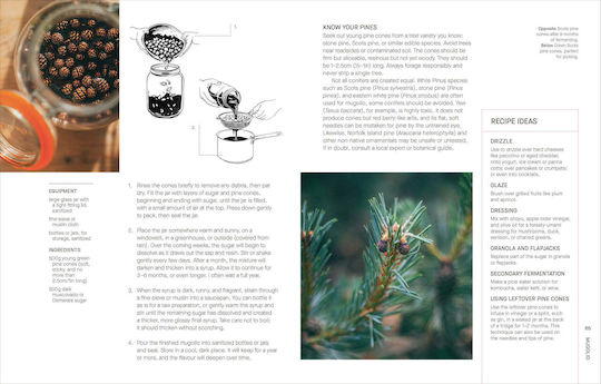 A Year Of Fermentation: A Seasonal Guide To The Art Science Of Fermentation