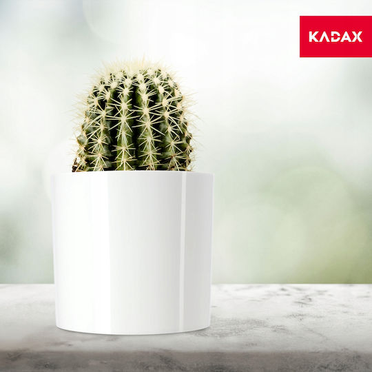 Kadax Pflanzentöpfe Weiß