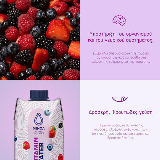 Minoa Water Paper Vitamin Water 12x0.75lt
