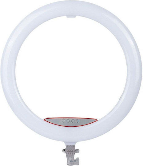 RGB Ring Light 56cm and Mobile Phone Holder