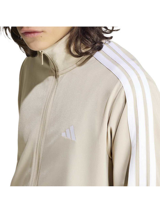 Herren-Sweatpants Braun