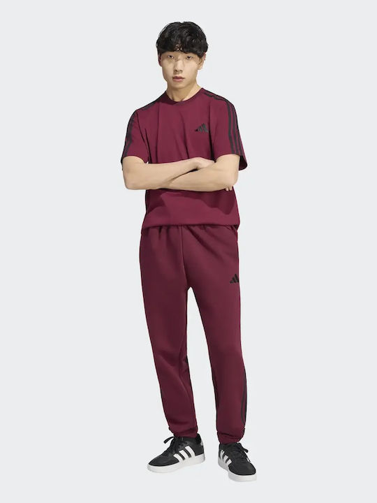 Herren-Sweatpants Pant Bordeaux Schwarz