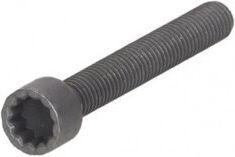 Injector Screw VW Crafter I 06 M8*1.25*58 N10581102