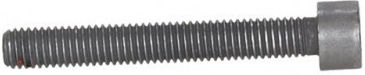Injector Screw VW Crafter I 06 M8*1.25*58 N10581102