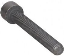Injector Screw VW Crafter I 06 M8*1.25*58 N10581102