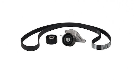 Renault Master Micro-v Gürtel Iii 10 + Tenzontüren 2.3dci Set 7pk1751 117202056r