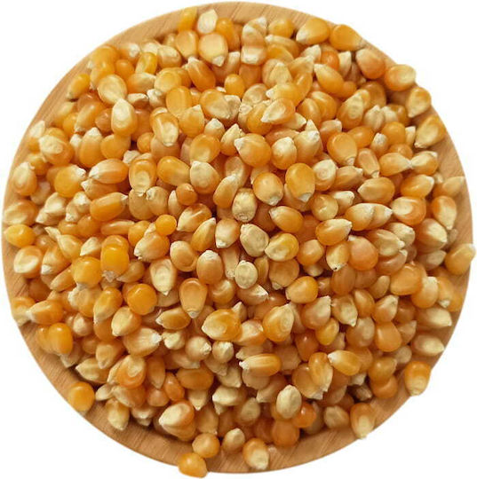 Popcorn Kernels 1kg Migogroup