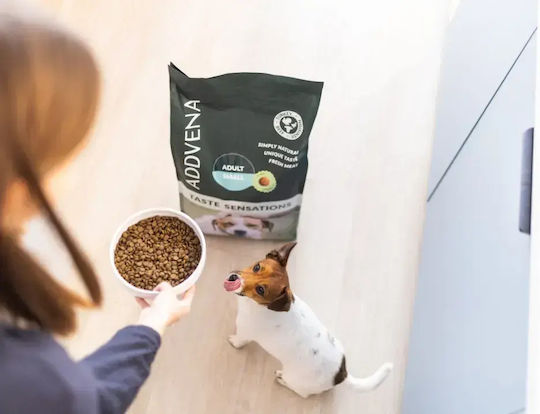 Dog Food Taste Sensations 10kg Dry Dog Food for Adult Dogs Small Breeds with Turkey