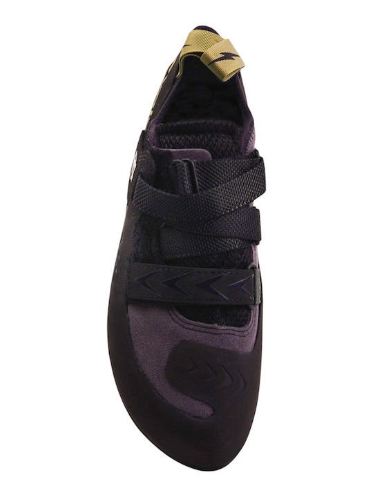 Evolv Pantofi de escaladă Unisex Negri