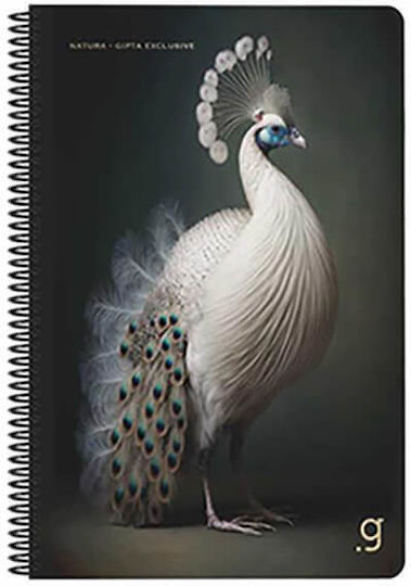 Gipta Spiral School Notebook Ruled B5 75 Paper Sheets 3 Subjects Natura (Various Designs or Colours) 3-55-37