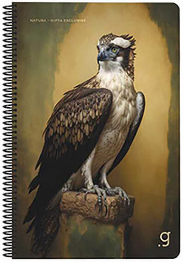 Gipta Spiral Notebook Ruled A4 50 Paper Sheets 2 Subjects (Various Designs or Colours)