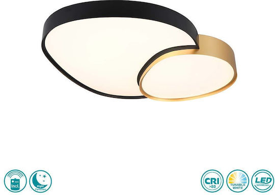 Trio Lighting 6475192 Trio Lighting 6475192