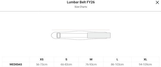 Picsil Lumbar Belt Fy26 Weightlifting Belt – Indigo