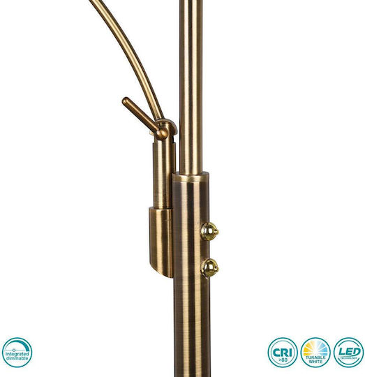 Trio Lighting Granby LED Φωτιστικό Δαπέδου Υ180xΜ29εκ. με Ρυθμιζόμενο Λευκό Φως 3400lm Χάλκινο