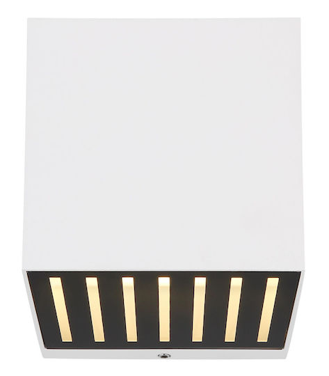 Globo Lighting Wall-Mounted Outdoor Ceiling Light LED IP54 6W with Warm White Light Double Beam 10x10εκ.