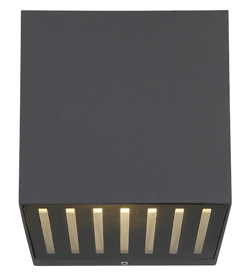 Globo Lighting Lampă De Tavan Led 6W 3000K 10x10cm Globo Lighting Lampă De Tavan Led 6W 3000K 10x10cm