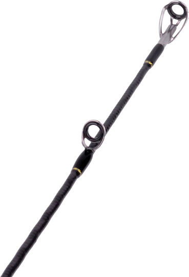 Seahawk Musha Nautilus-J Fishing Rod for Jigging / Slow Jigging 1.83m 100-300gr