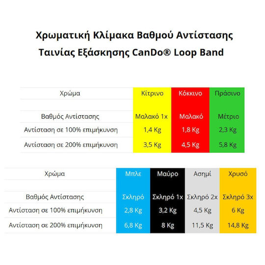 Lowenstein Loop Band 76cm 2x Schwer Widerstandsbänder Schwer / Mäßig Silber 0,76m