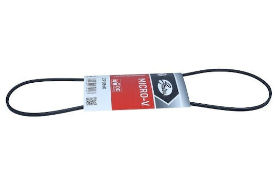 Curea Poliridică 2pj860