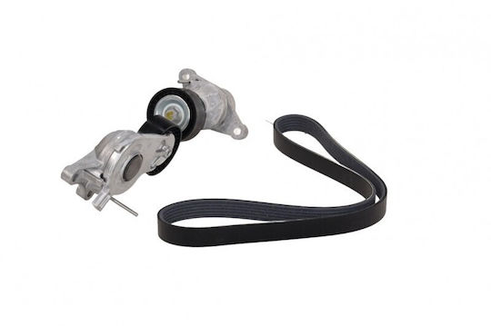 Curea Micro-v Citroen Berlingo 08 + Întinzătoare 1687683880