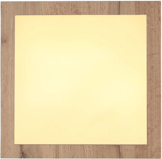 Globo Lighting LED Panel 16W With Warm White Light 3000K