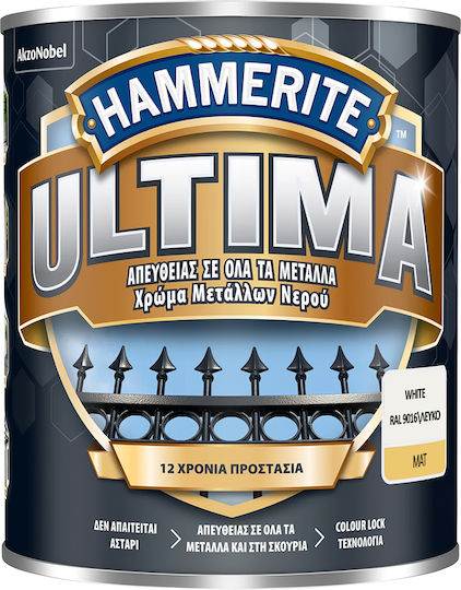 Hammerite Ripolin Korrosionsinhibitor Wasser Ultima 0.75l Weiß Matt