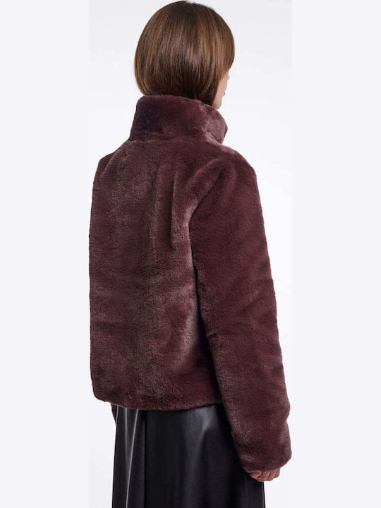 Short Women's Fur Bordeaux
