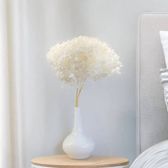 Stabilized Hydrangea Hydrangea Cabeza Royal Bleached