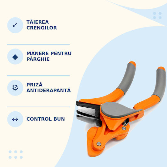 Set Foarfece de Tuns și de Filat