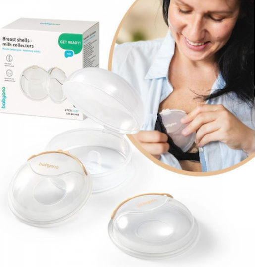 Babyono Muscheln / Becher Stillzubehör 2 Stück