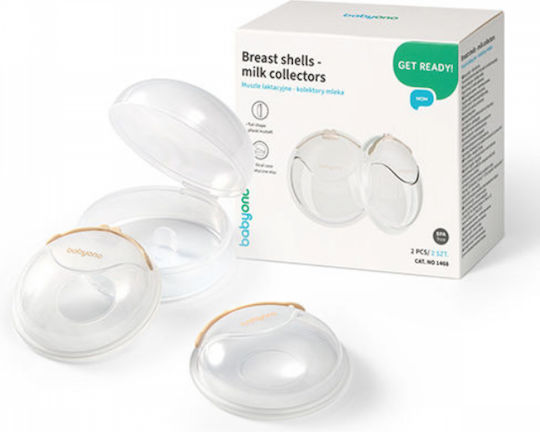 Babyono Muscheln / Becher Stillzubehör 2 Stück