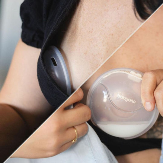Babyono Muscheln / Becher Stillzubehör 2 Stück