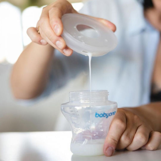 Babyono Muscheln / Becher Stillzubehör 2 Stück