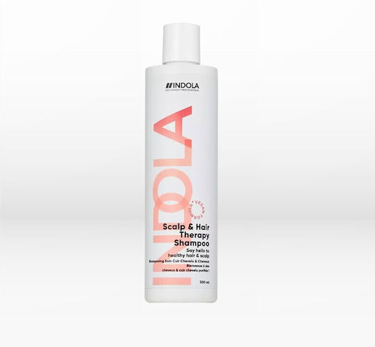 Indola Scalp & Hair Therapy Σαμπουάν κατά της Πιτυρίδας για Βαμμένα Μαλλιά 300ml
