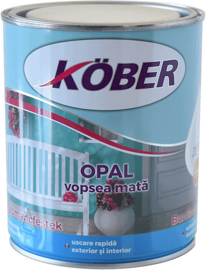 0.75lt Ral 9016 Matt