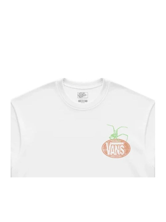 Vans Vans
