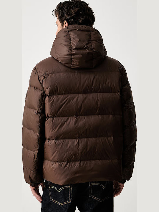 Winter Jacket Puffer Waterproof Dark Brown