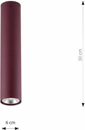 Emibig Pendant Ceiling Light
