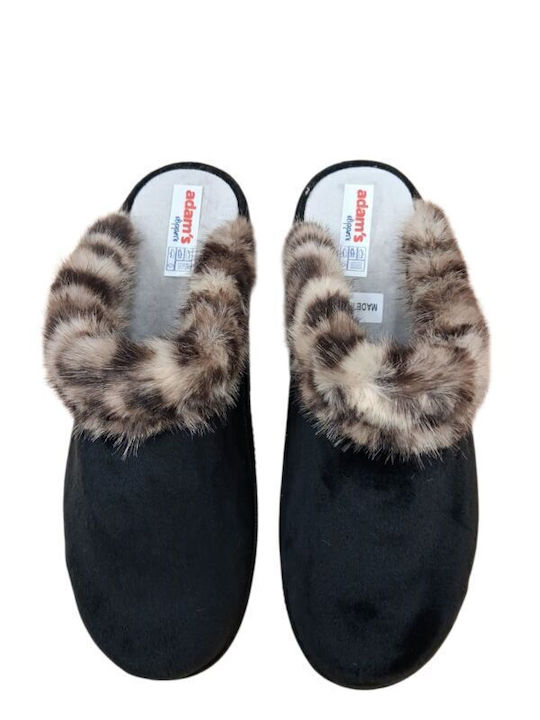Adam's Shoes