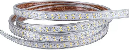 Prolutech Bandă LED Impermeabilă 220V Lumină Alb Natural 25m Tip SMD2835