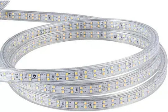 Prolutech Bandă LED Impermeabilă 220V Lumină Alb Natural 25m Tip SMD2835 cu Sursă de Alimentare