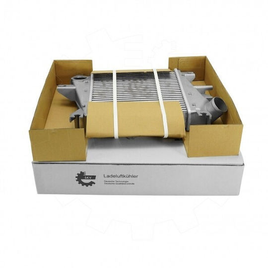 Nissan X-Trail I 14461es60a Auto-Kühlschrank Motor