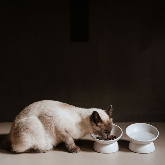 Hunter Keramik Futter-Schale für Katze 90ml 14cm