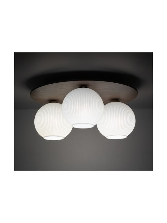 TK Lighting Πλαφονιέρα Οροφής 18εκ.