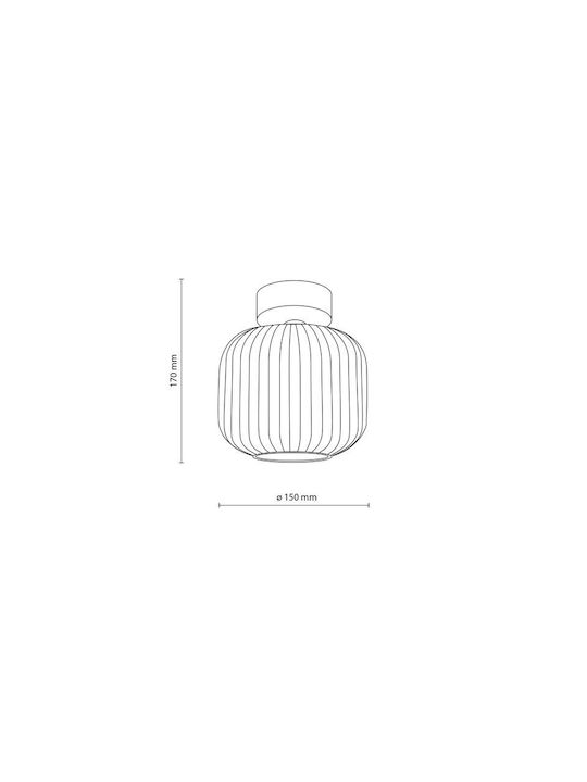 TK Lighting Luminiță De Tavan Montată 17 Cm