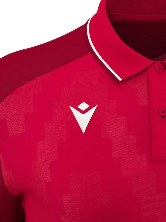 Echoes Polo Herrenblusen Rot/Weiß
