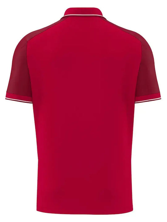 Echoes Polo Herrenblusen Rot/Weiß