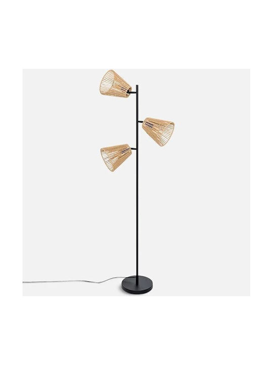 Floor Lamp Floor Lamp