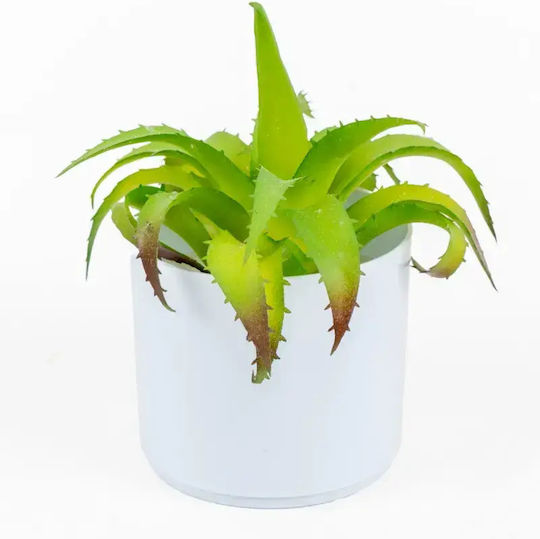 Stewehome Artificial White Succulent Cactus In Pot