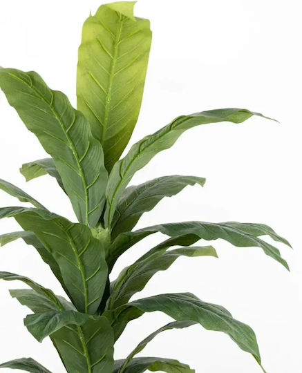 Stewehome Copac Artificial Dieffenbachia Frunze Mari Detalii Iarbă Ghiveci Negru Stewehome Copac Artificial Dieffenbachia Frunze Mari Detalii Iarbă Ghiveci Negru